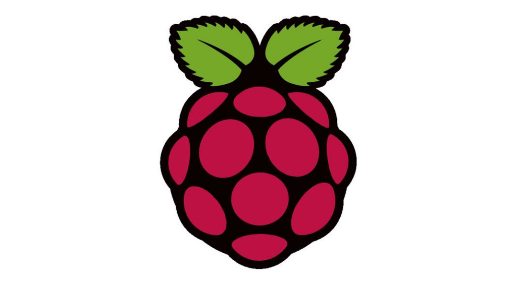 Logo Raspberry